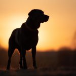 茄子视频app下载安装无限看丝瓜绿巨人ios快手 wc7ndi